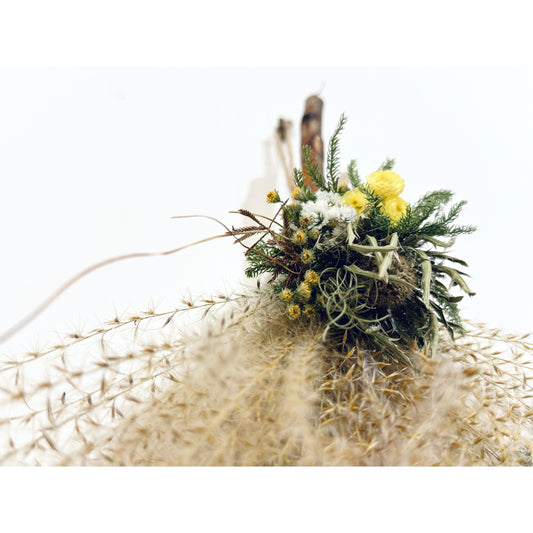企画展 : 「ののはな」- 秋の山と野の花と -