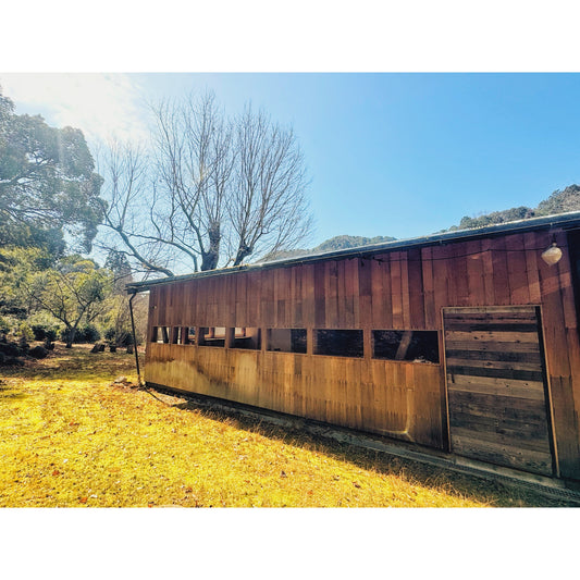 『OPEN SITE TOUR・炭山オープンサイト』 3/16sat