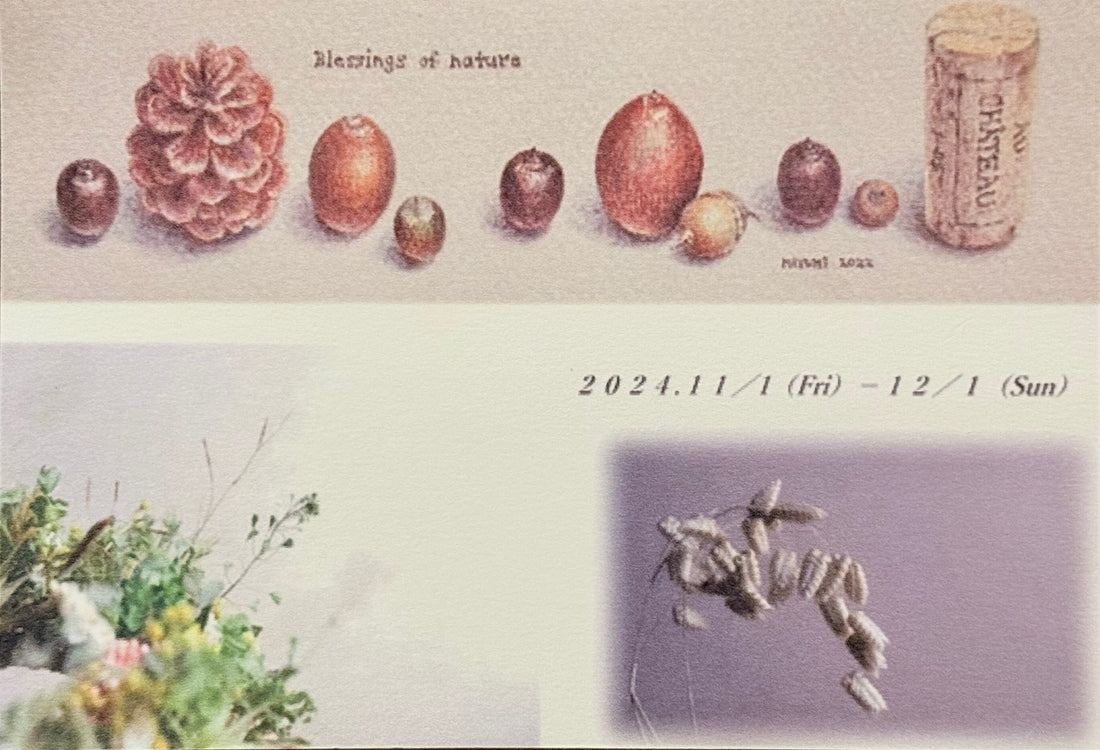 秋の企画『窓越しの秋 -木の実と草花の二人展-』 「ののはな」 × 「石田眞弓」