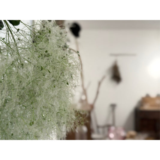 -6月の営業日-
